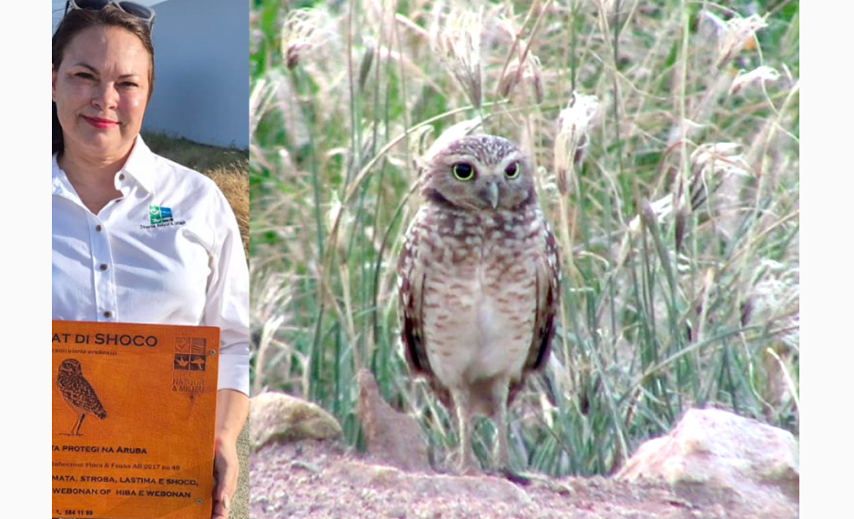 screenshot 2026 01 17 205804