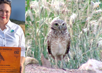 screenshot 2026 01 17 205804