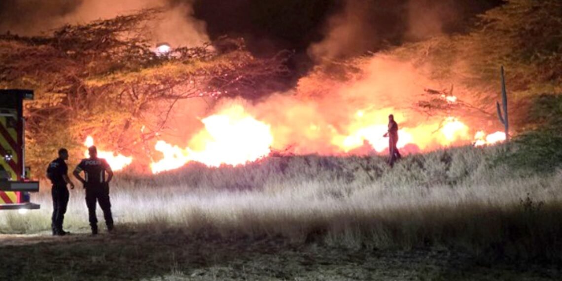 Action to Fight Large Fire in Curason Park at Jaburibari Firefighting Action Curason Park