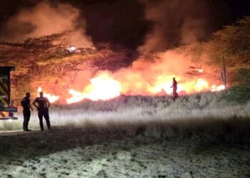 Firefighting Action Curason Park