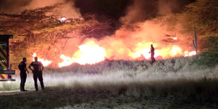 Firefighting Action Curason Park