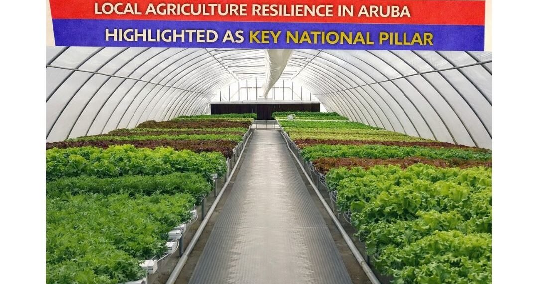 carnival cruise line donates 15 2026 02 04t234212.524