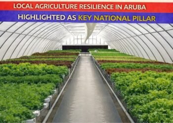 carnival cruise line donates 15 2026 02 04t234212.524