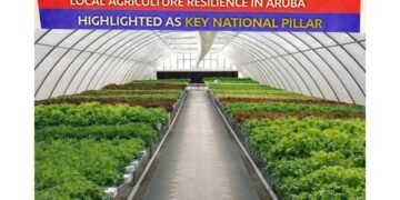 carnival cruise line donates 15 2026 02 04t234212.524