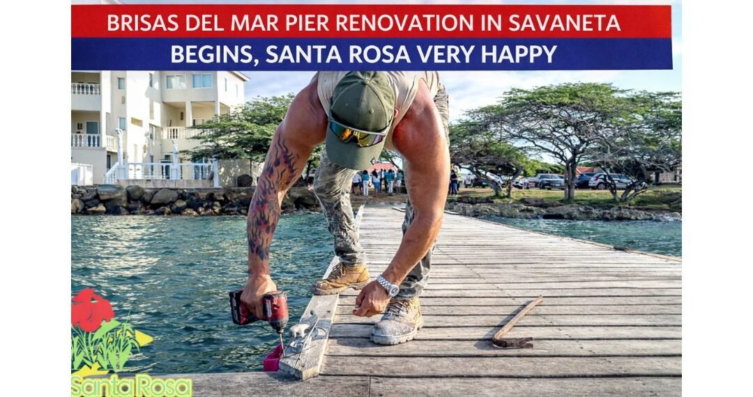 carnival cruise line donates 15 2026 02 10t222159.597