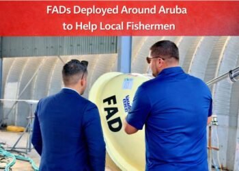 carnival cruise line donates 15 2026 02 12t233450.151