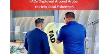 carnival cruise line donates 15 2026 02 12t233450.151