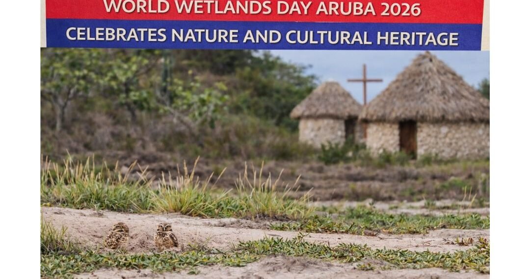 carnival cruise line donates 15 (74)