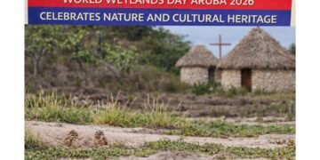 carnival cruise line donates 15 (74)