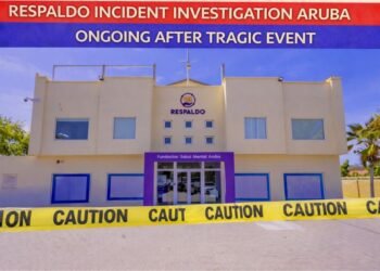 carnival cruise line donates 15 (92)