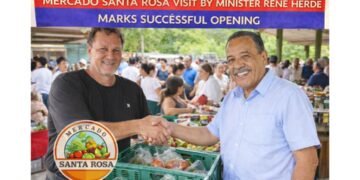 carnival cruise line donates 15 (96)