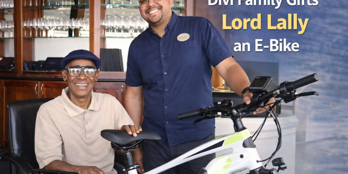 Divi Family Gifts Lord Lally E-Bike