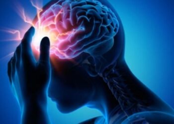 Fundación Epilepsia