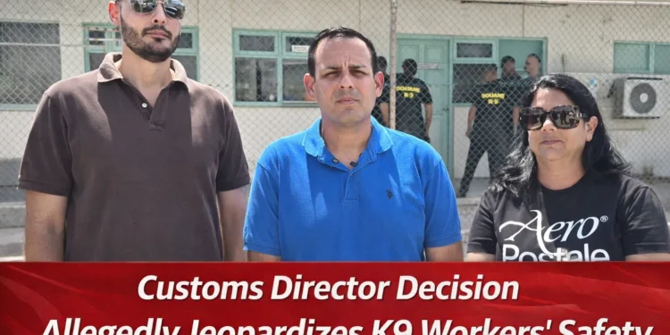 Customs Director K9 Safety