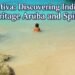 Etnia Nativa: Discovering Indigenous Heritage Aruba and Spirit