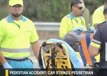 Pedestrian Accident