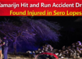 Tamarijn Hit and Run Accident Driver Found Injured in Sero Lopes