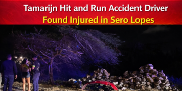 Tamarijn Hit and Run Accident Driver Found Injured in Sero Lopes