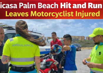 Unicasa Palm Beach hit and run