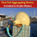 Fish Aggregating Device Installed in Aruba Waters
