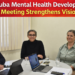 Aruba mental health development meeting