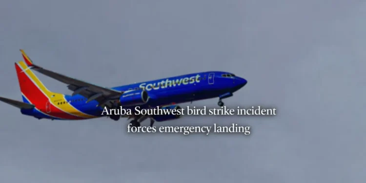 Aruba Southwest bird strike incident forces emergency landing arubasourthwest