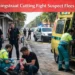 Koningstraat Cutting Fight Suspect Flees Scene carnival cruise line donates 15 (27)