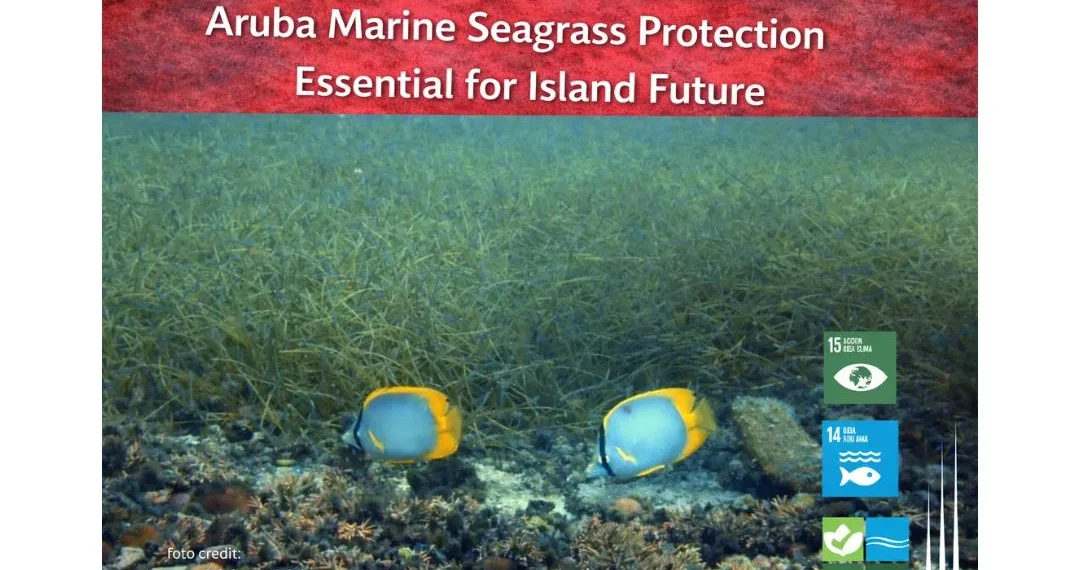 carnival cruise line donates 15 (52)