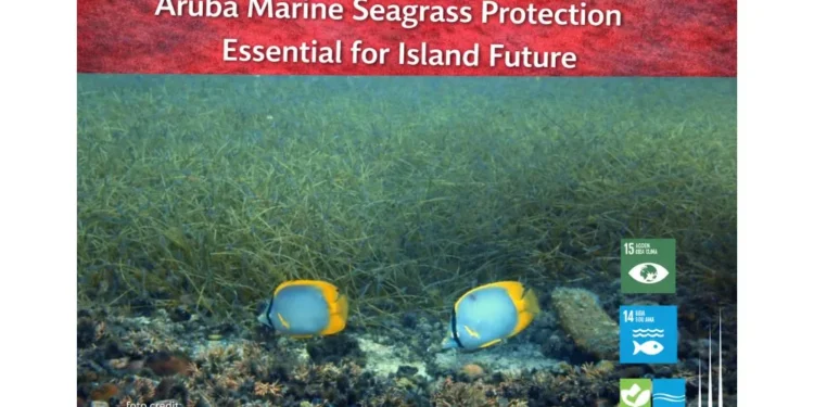 Aruba Marine Seagrass Protection Essential for Island Future carnival cruise line donates 15 (52)