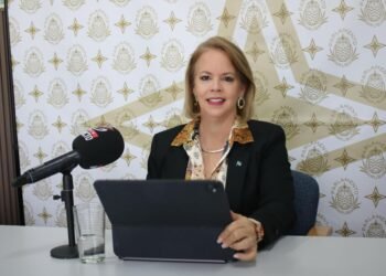 AVP-Futuro government