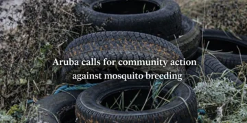 Aruba calls for community action against mosquito breeding mosquito