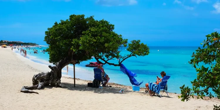 Aruba's Eagle Beach Named Most Relaxing in the Caribbean tal eagle beach aruba relaxbeachcaribe0226 b834af26376d48f0a6bbfaf779cfa099