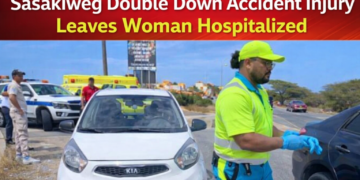 Sasakiweg Double Down accident injury