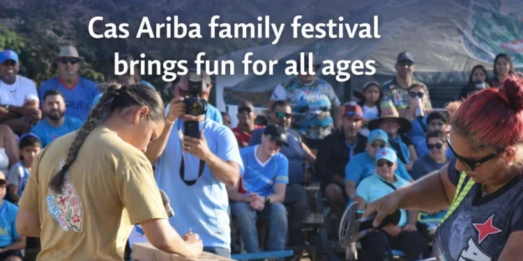 cas ariba family festival brings fun for all ages