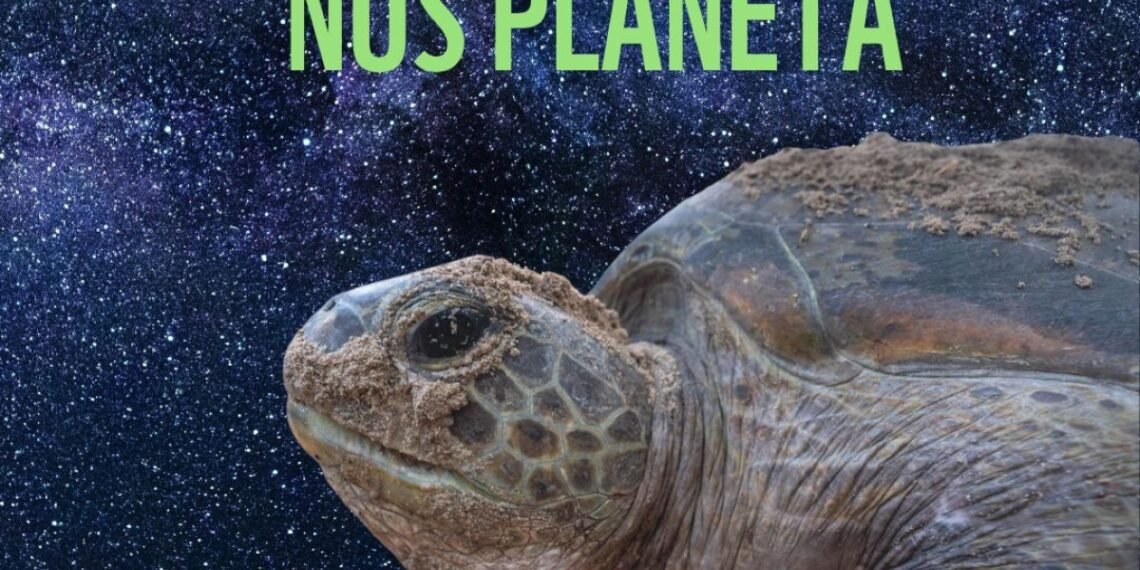 Directie Natuur en Milieu Joins Global Initiative ‘Earth Hour 2026’ Earth Hour Aruba 2026