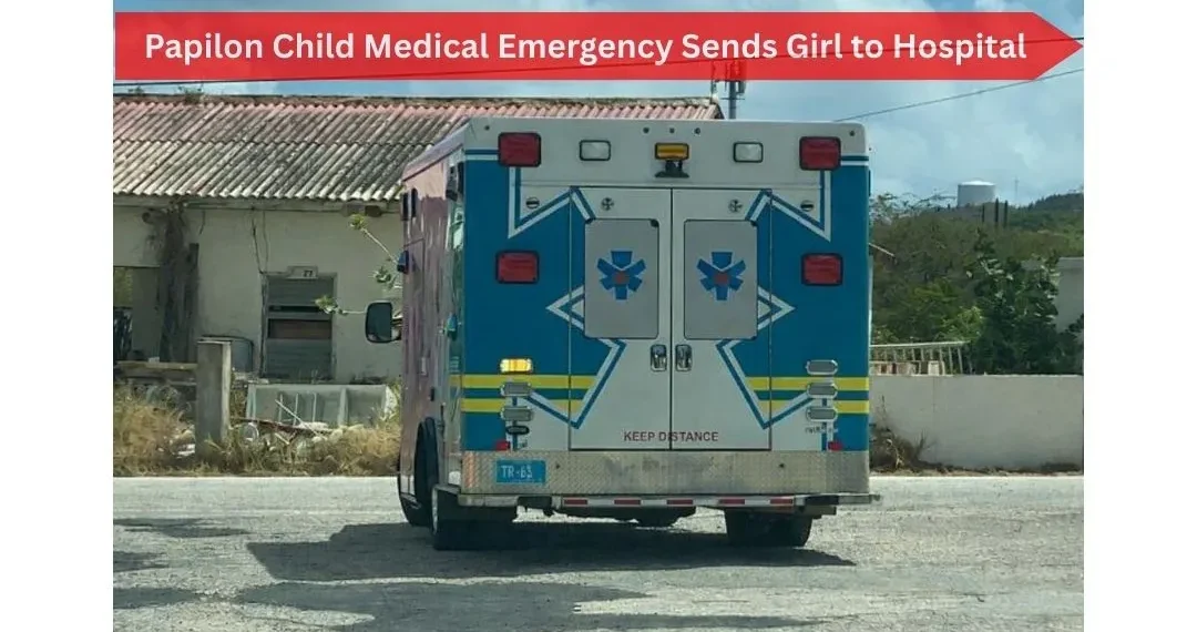 Papilon Child Medical Emergency Sends Girl to Hospital image (66)