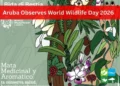 Aruba Observes World Wildlife Day Aruba 2026 image