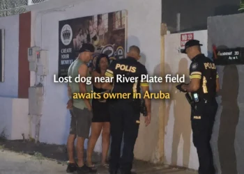 Lost dog near River Plate field awaits owner in Aruba