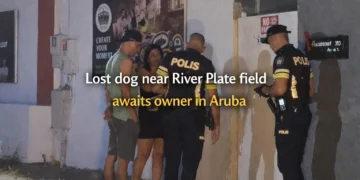 Lost dog near River Plate field awaits owner in Aruba