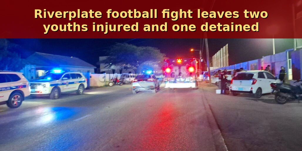 Riverplate football fight leaves two youths injured and one detained riverplatefinalbanner