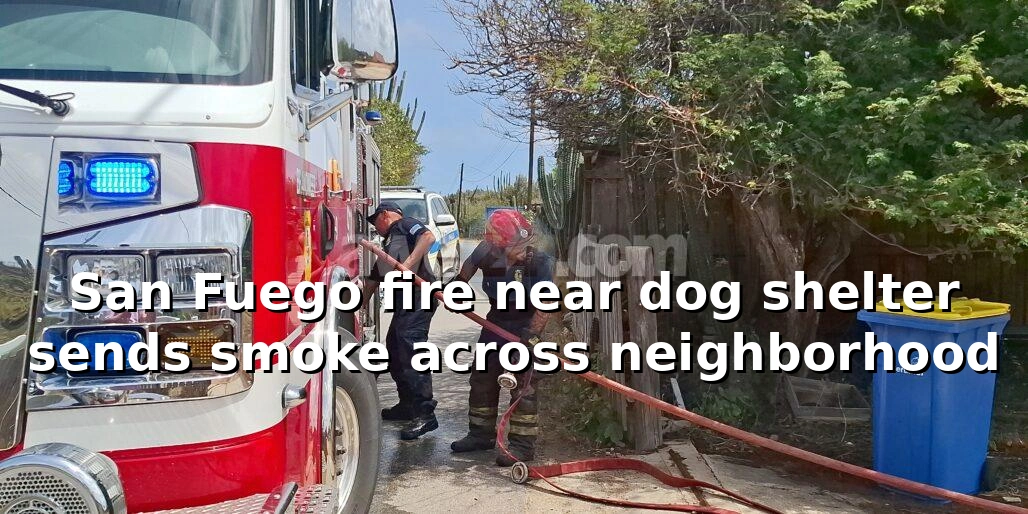 San Fuego fire near dog shelter sends smoke across neighborhood sanfuegofire