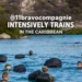 @11bravocompagnie intensively trains in the Caribbean wide