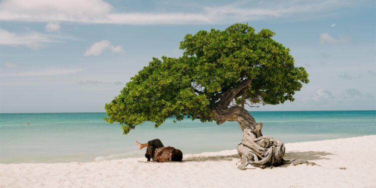 Aruba Strengthens MICE Appeal with Direct Connectivity and Sustainability Aruba MICE destination Argentina