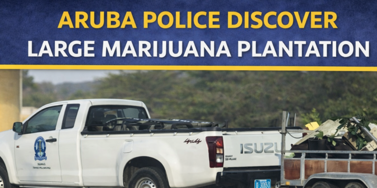 Aruba police marijuana plantation