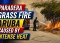 Paradera Grass Fire Aruba Caused by Intense Heat