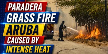 Paradera Grass Fire Aruba Caused by Intense Heat