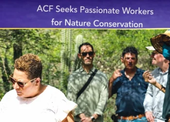 acf