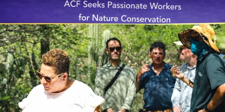 acf