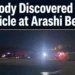 arashibeach