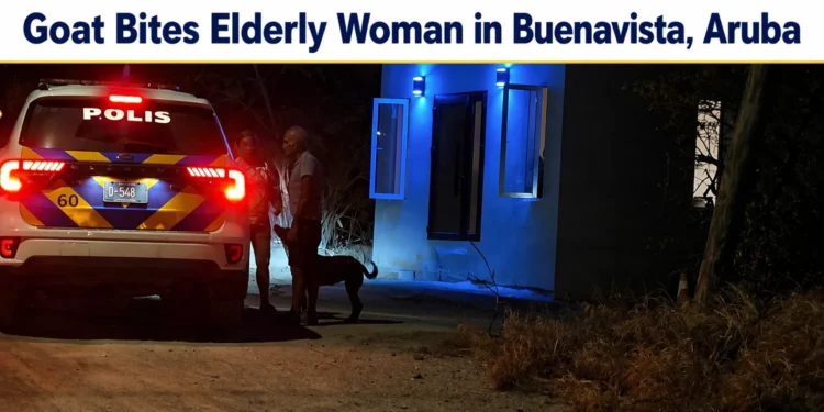 Goat Bites Elderly Woman in Buenavista, Aruba buenavista